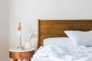How Bed Bugs Spread in Bozeman, Montana